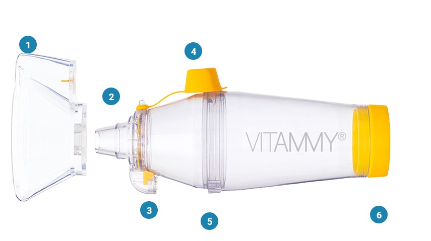 Beschreibung der Inhalationskammer